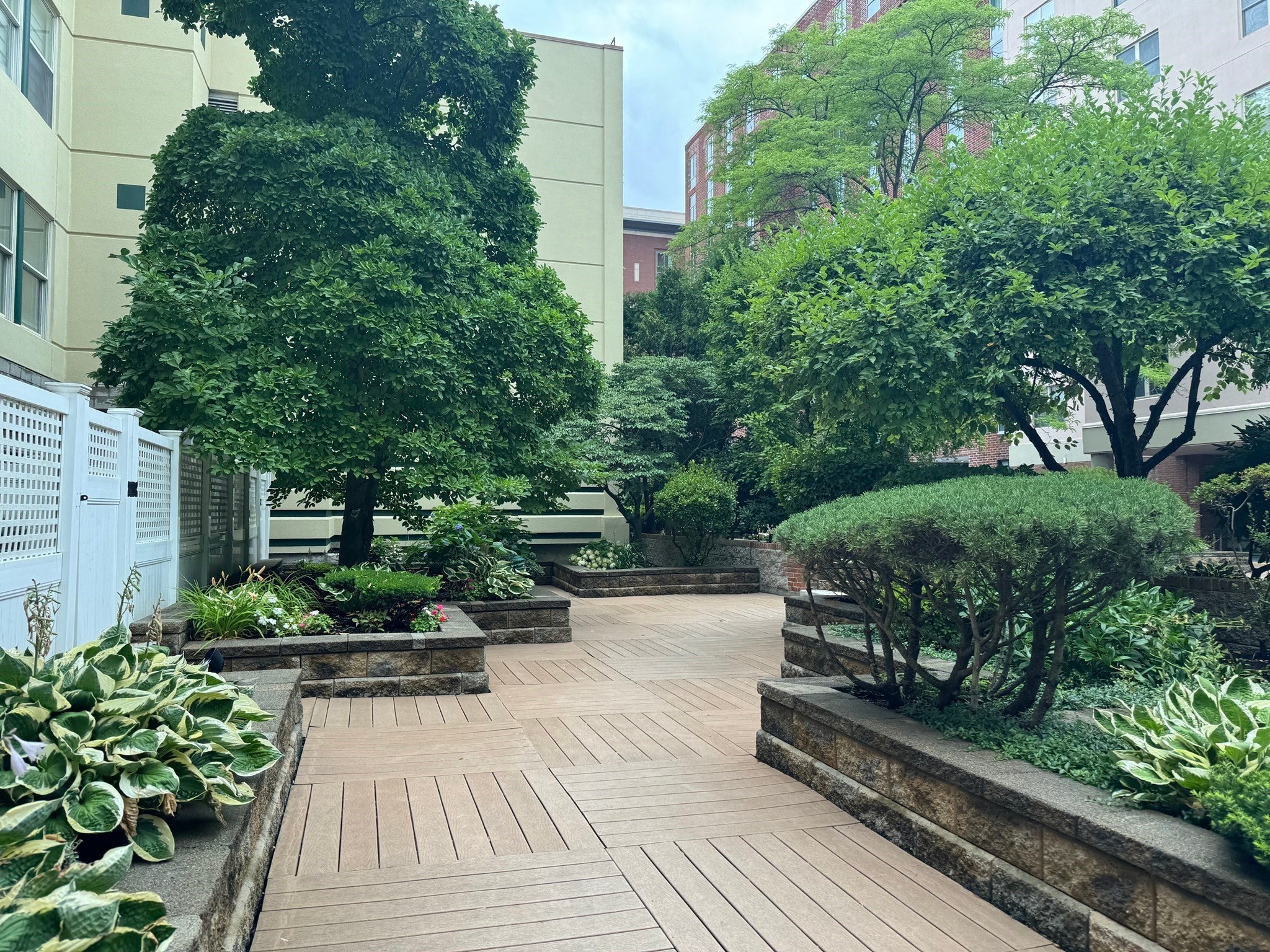 25 Marion ST #31, Brookline, MA Photo #11