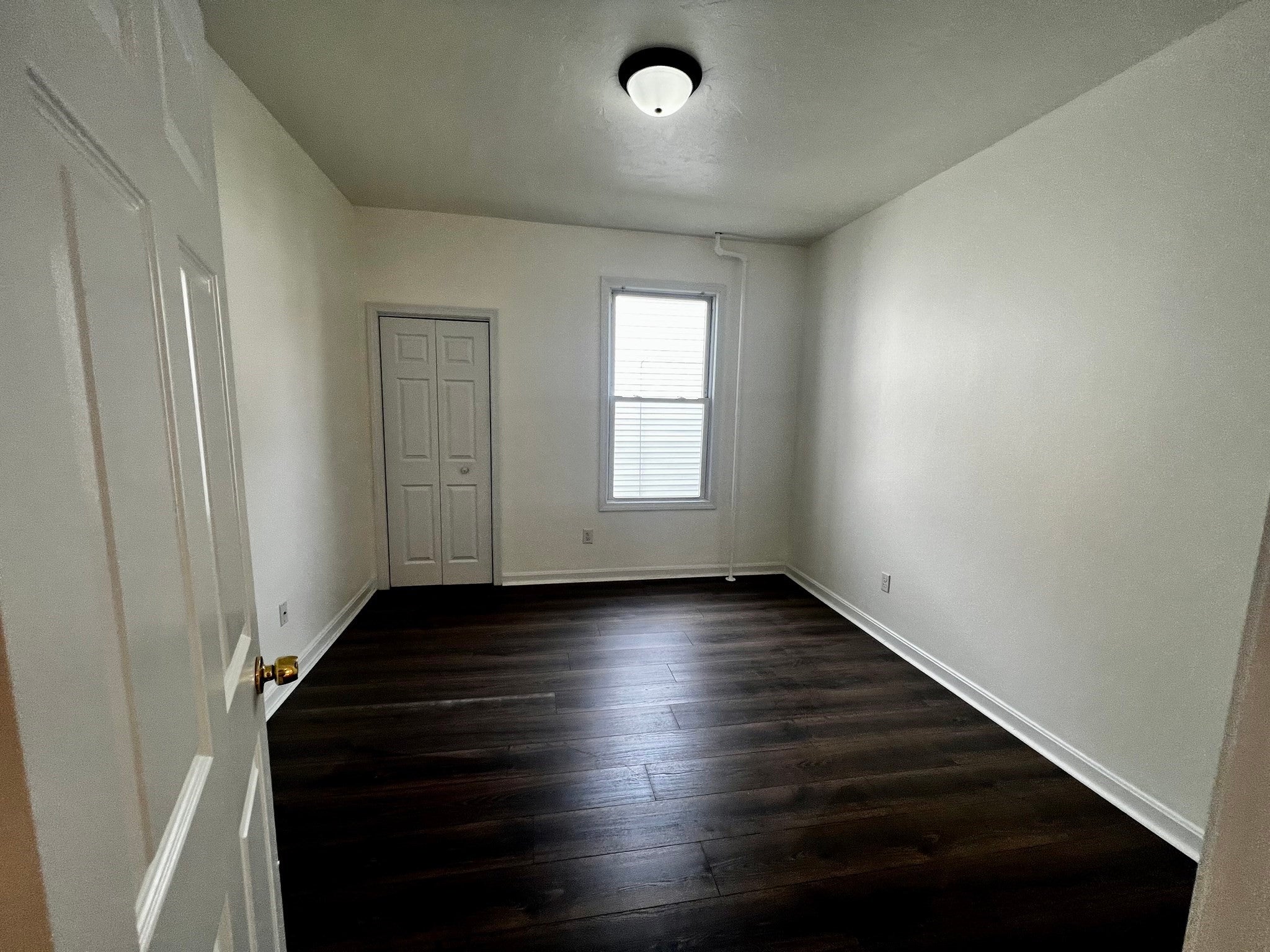 3-5 Woodbine St #1, Worcester, MA, 3-5 Woodbine St #1, Worcester, MA Photo #2