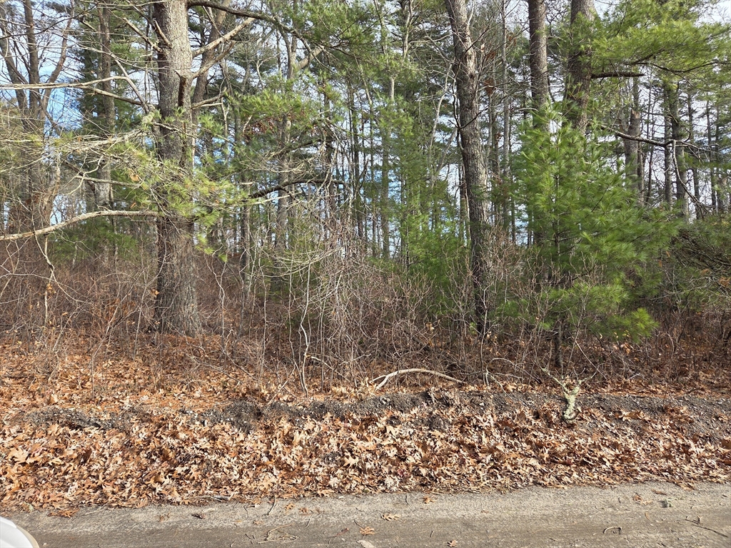 9 (lot 11) Oliver Neck Road