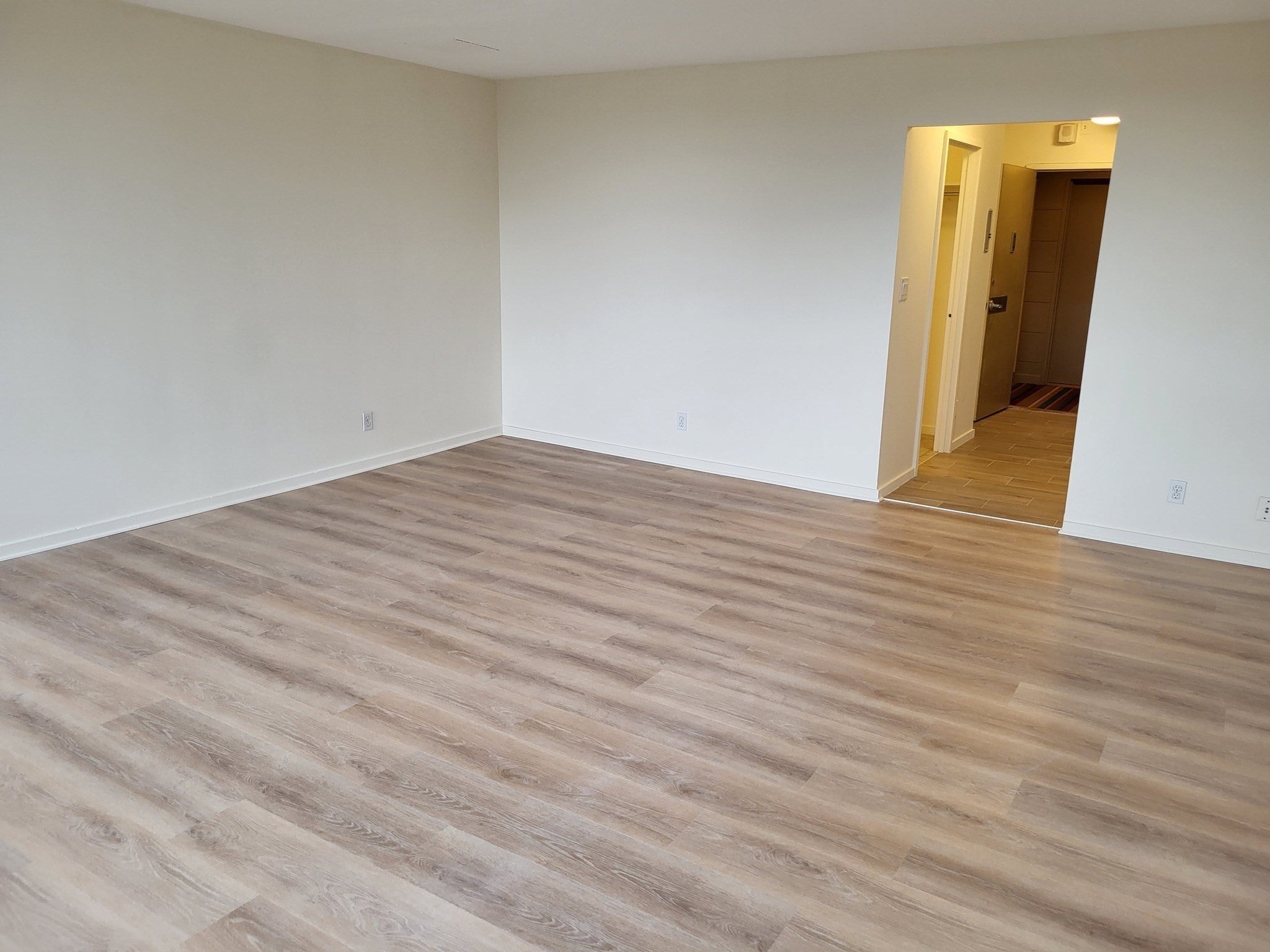 44 Washington St #1212, Brookline, MA, 44 Washington St #1212, Brookline, MA Photo #5