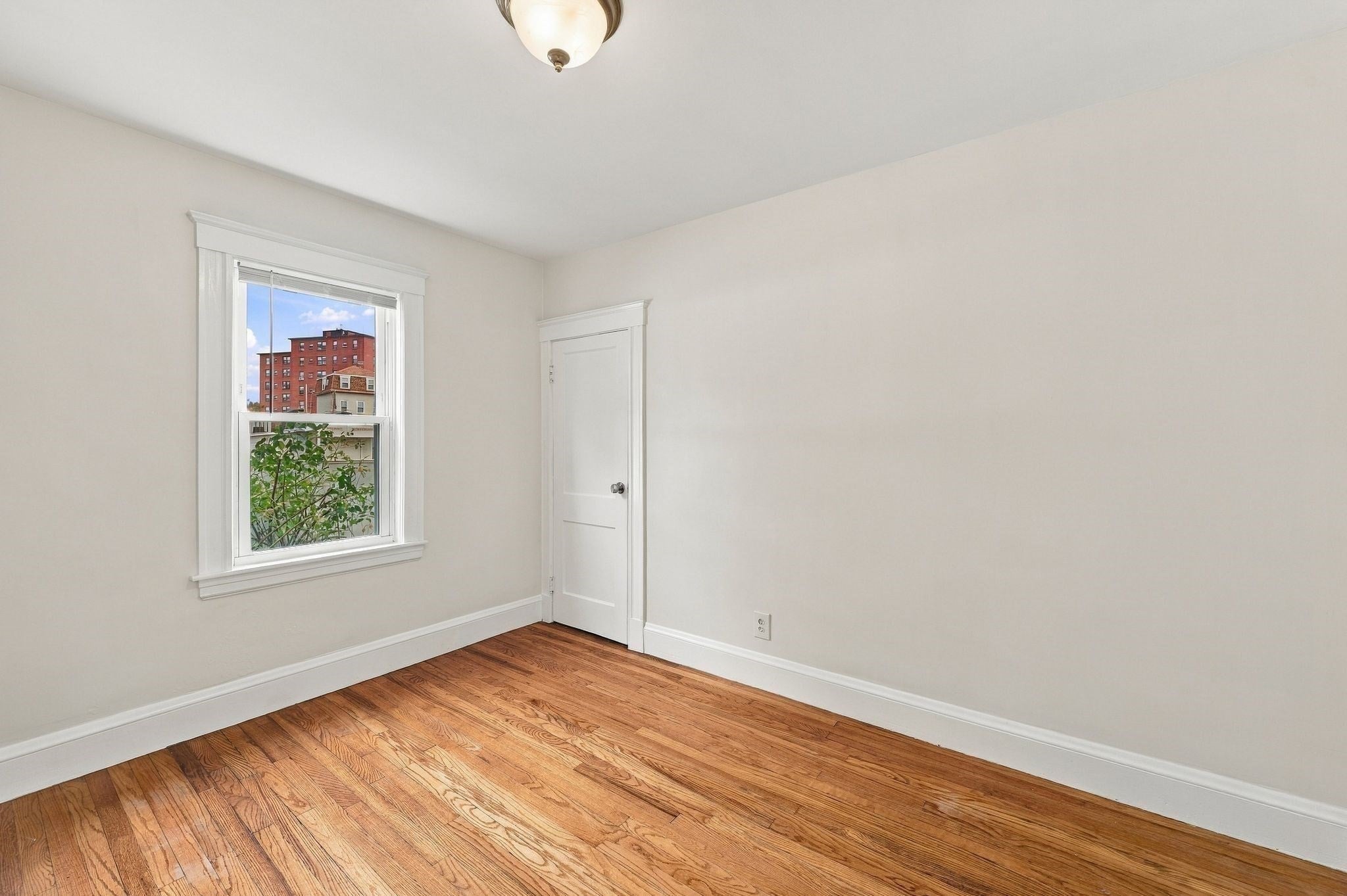 22-24 Estrella St #1, Boston, MA, 22-24 Estrella St #1, Boston, MA Photo #22