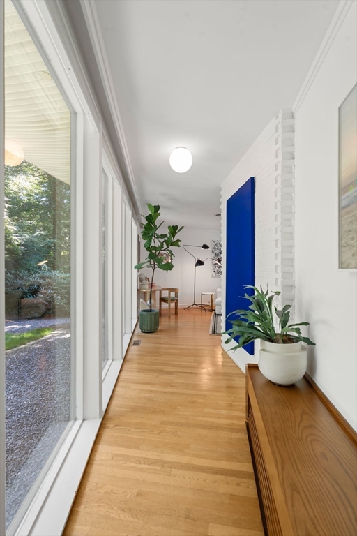 145 Walpole Street