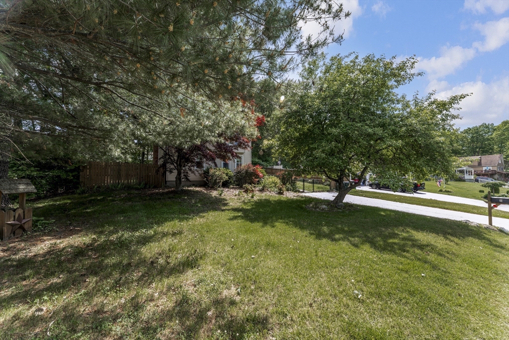 11 Scenic Ave