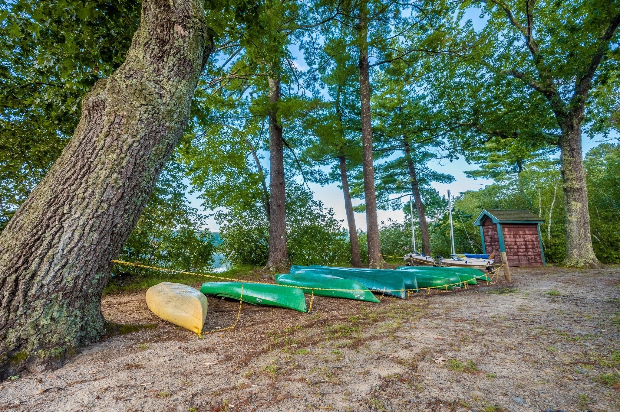 37 Fox Run #37, Westford, MA, 37 Fox Run #37, Westford, MA Photo #24
