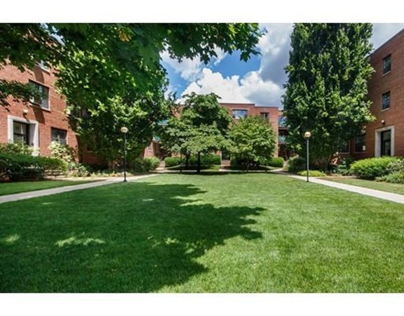 53 Harvard Ave 1