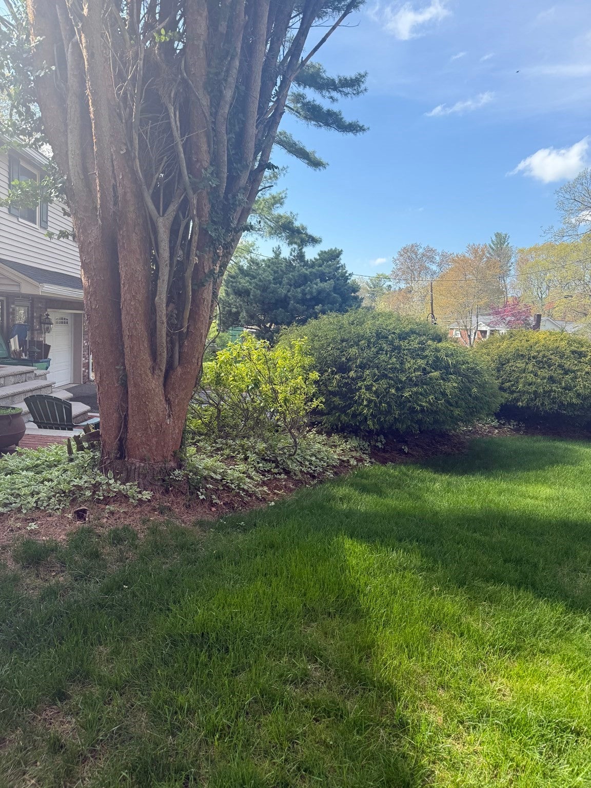 42 Freeport Dr, Burlington, MA, 42 Freeport Dr, Burlington, MA Photo #33