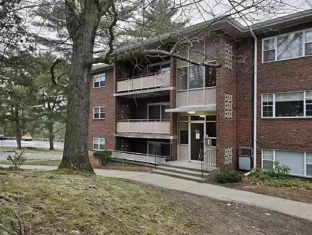 43 Jacqueline Rd 1