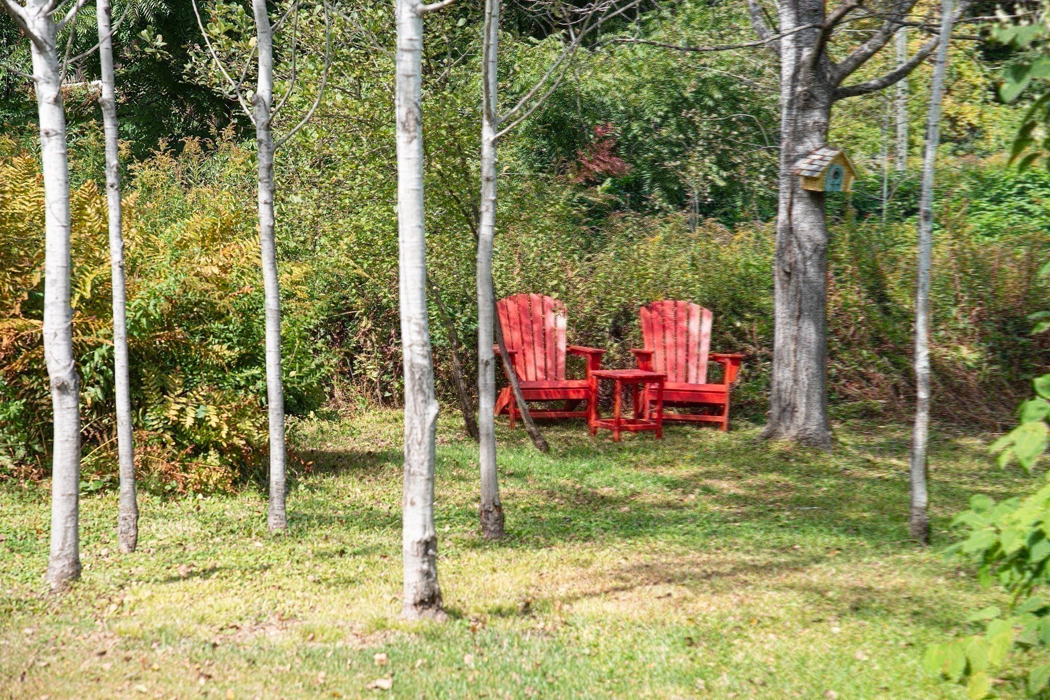 51 Baptist Hill Rd, Conway, MA, 51 Baptist Hill Rd, Conway, MA Photo #38