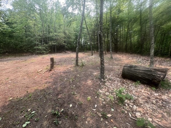 315 lot 1 E County Road