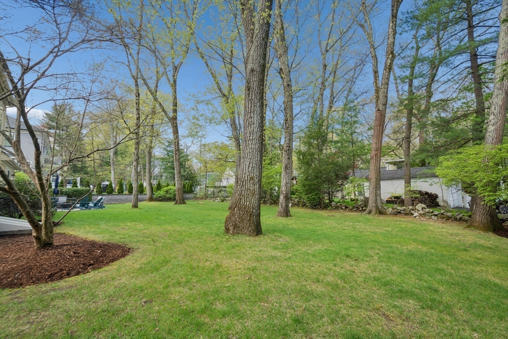 1 Munroe Road, Lexington, MA Photo #39