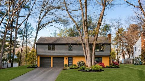 Photo of 8 Emily Road, Framingham, MA 01701 (MLS # 73482089)