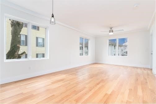 42 Dennis Street #2, Boston, MA, 42 Dennis Street #2, Boston, MA Photo #21
