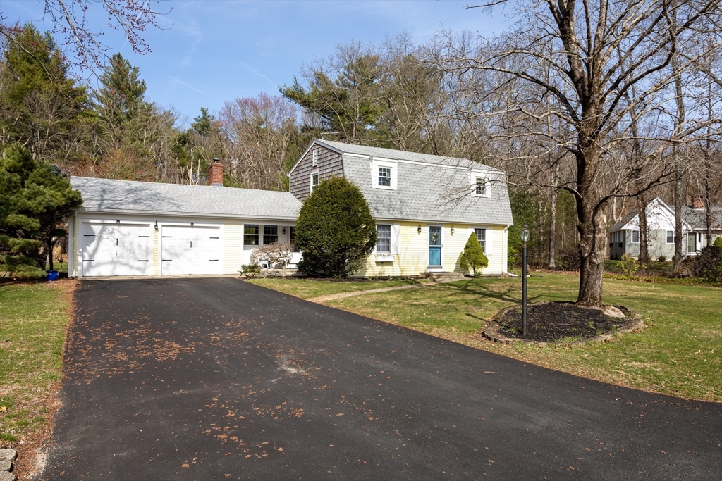 12 White Pine