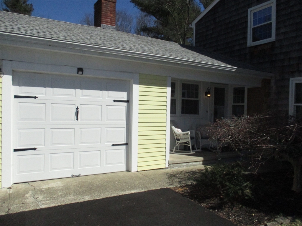 12 White Pine