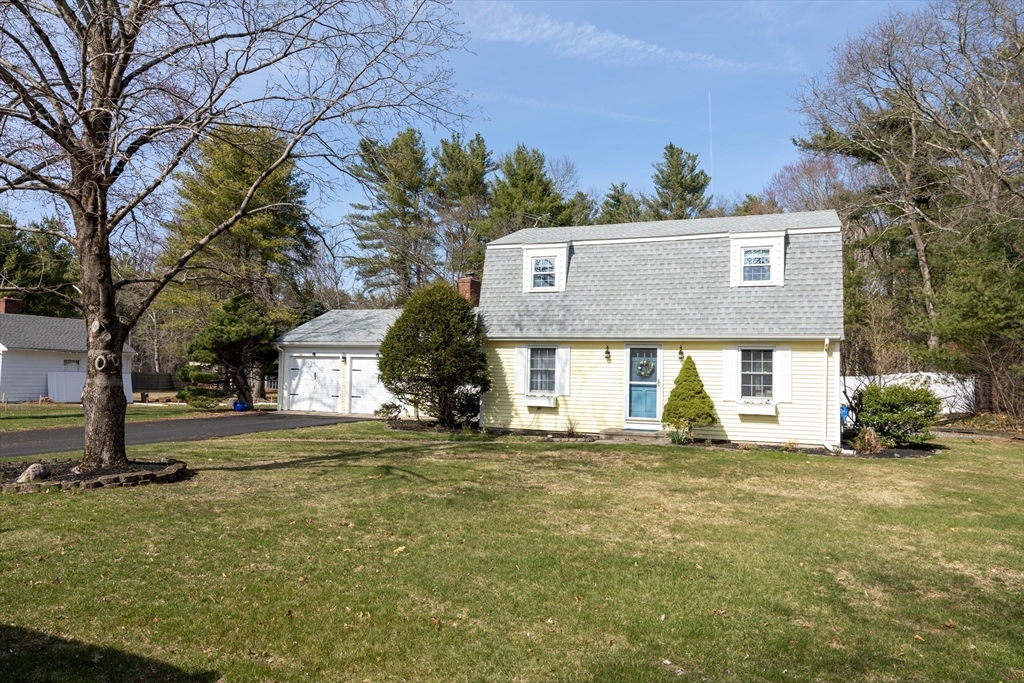 12 White Pine