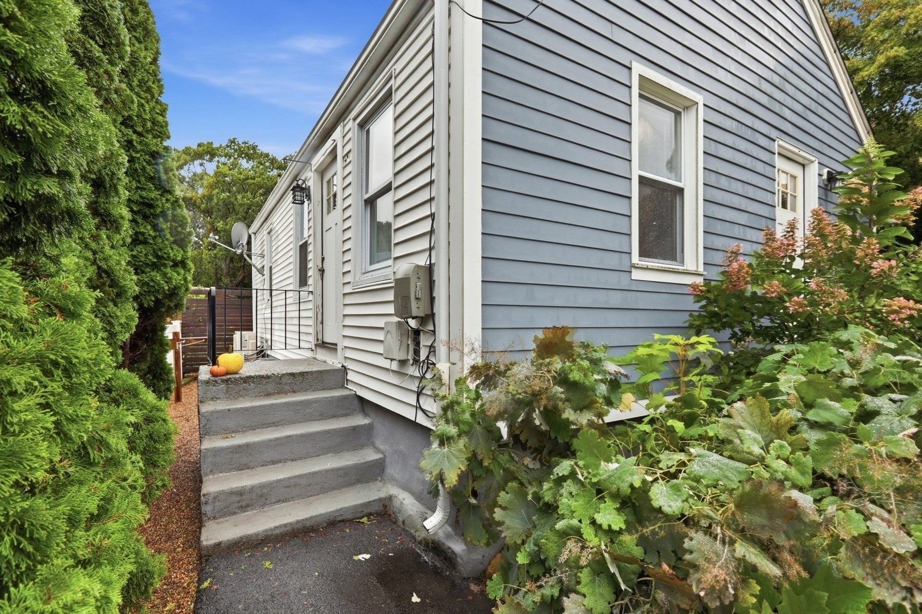 28 Cleveland Street, Medford, MA, 28 Cleveland Street, Medford, MA Photo #25