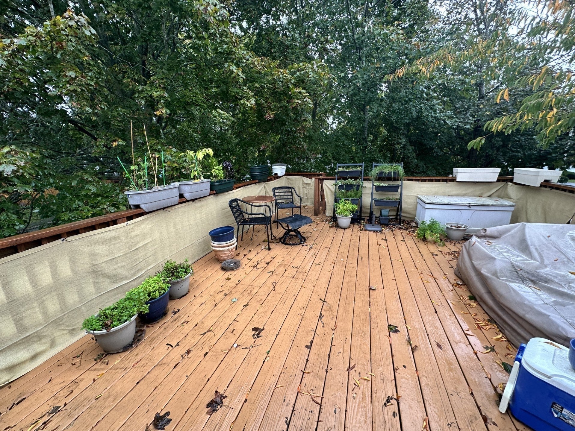 76 Walker St, Falmouth, MA, 76 Walker St, Falmouth, MA Photo #16