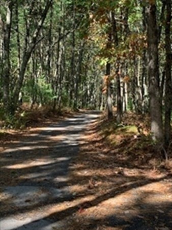 115 Quarry Road