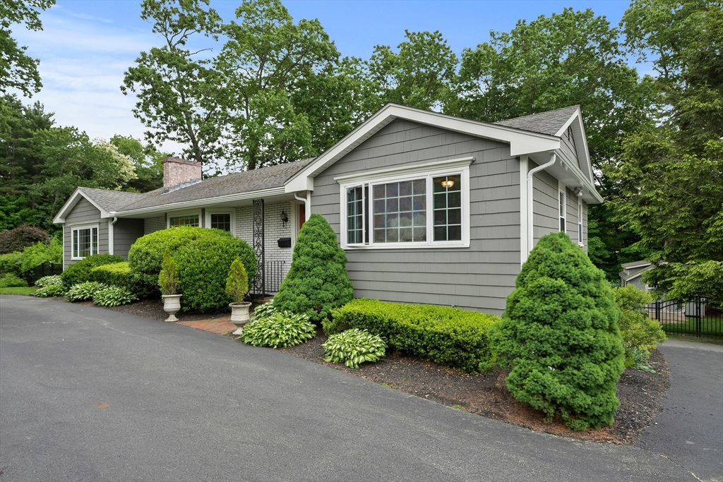 296 Chapman