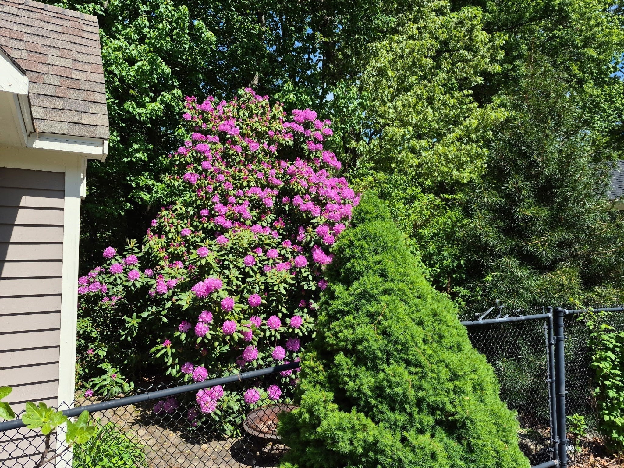 345 Grange Park, Bridgewater, MA, 345 Grange Park, Bridgewater, MA Photo #38
