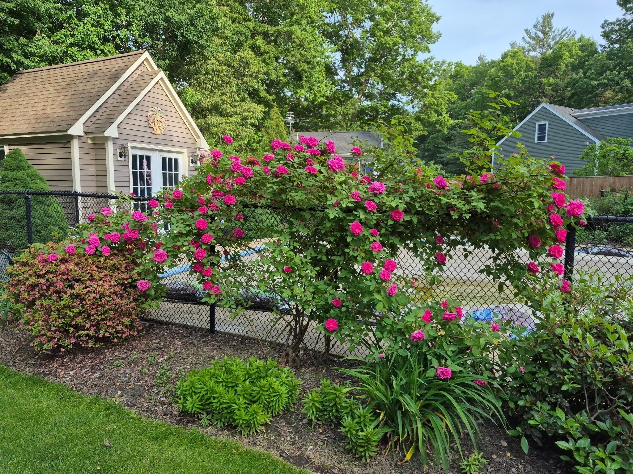345 Grange Park, Bridgewater, MA, 345 Grange Park, Bridgewater, MA Photo #36