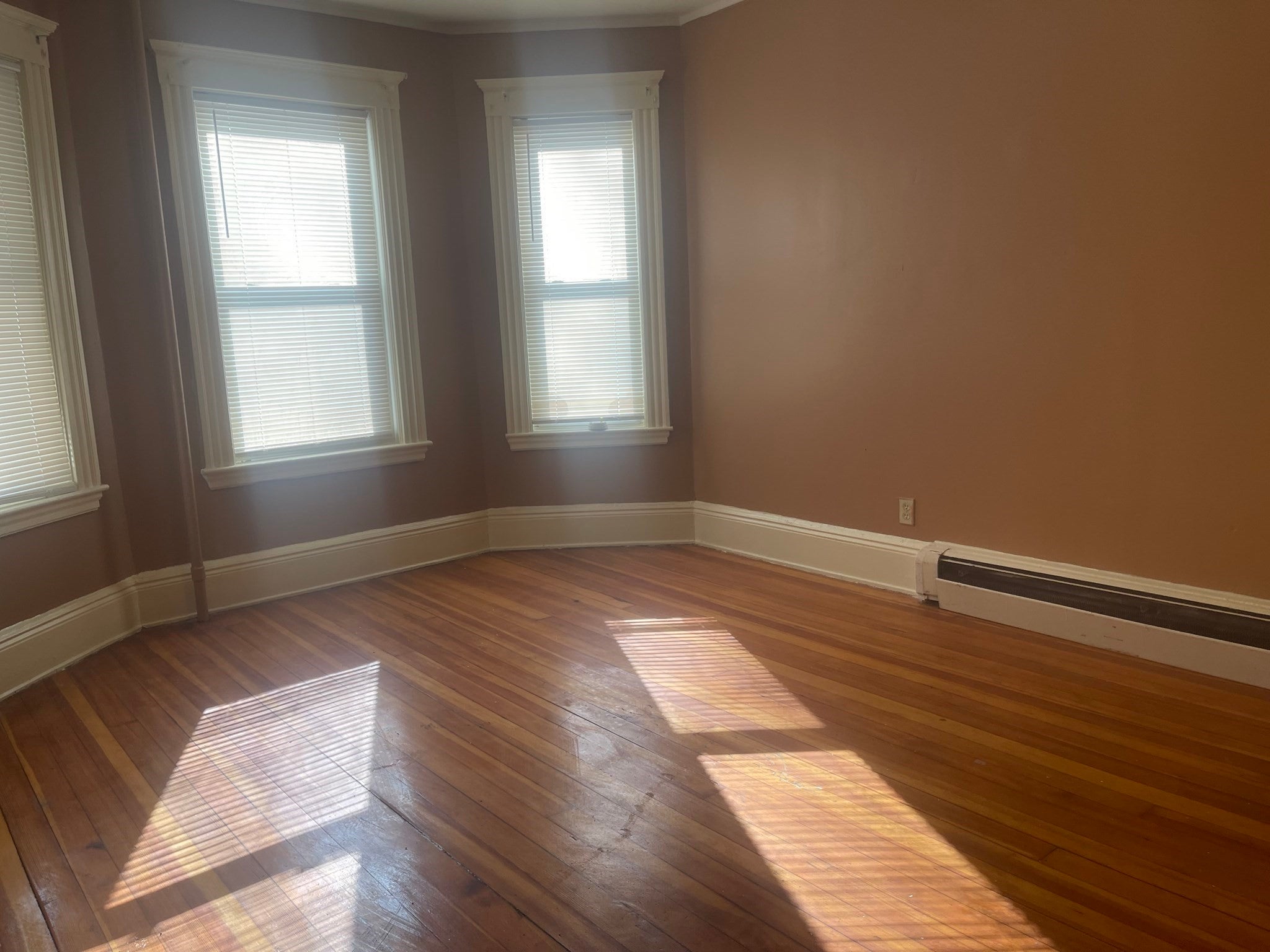6 Bailey St #1, Boston, MA Photo #4
