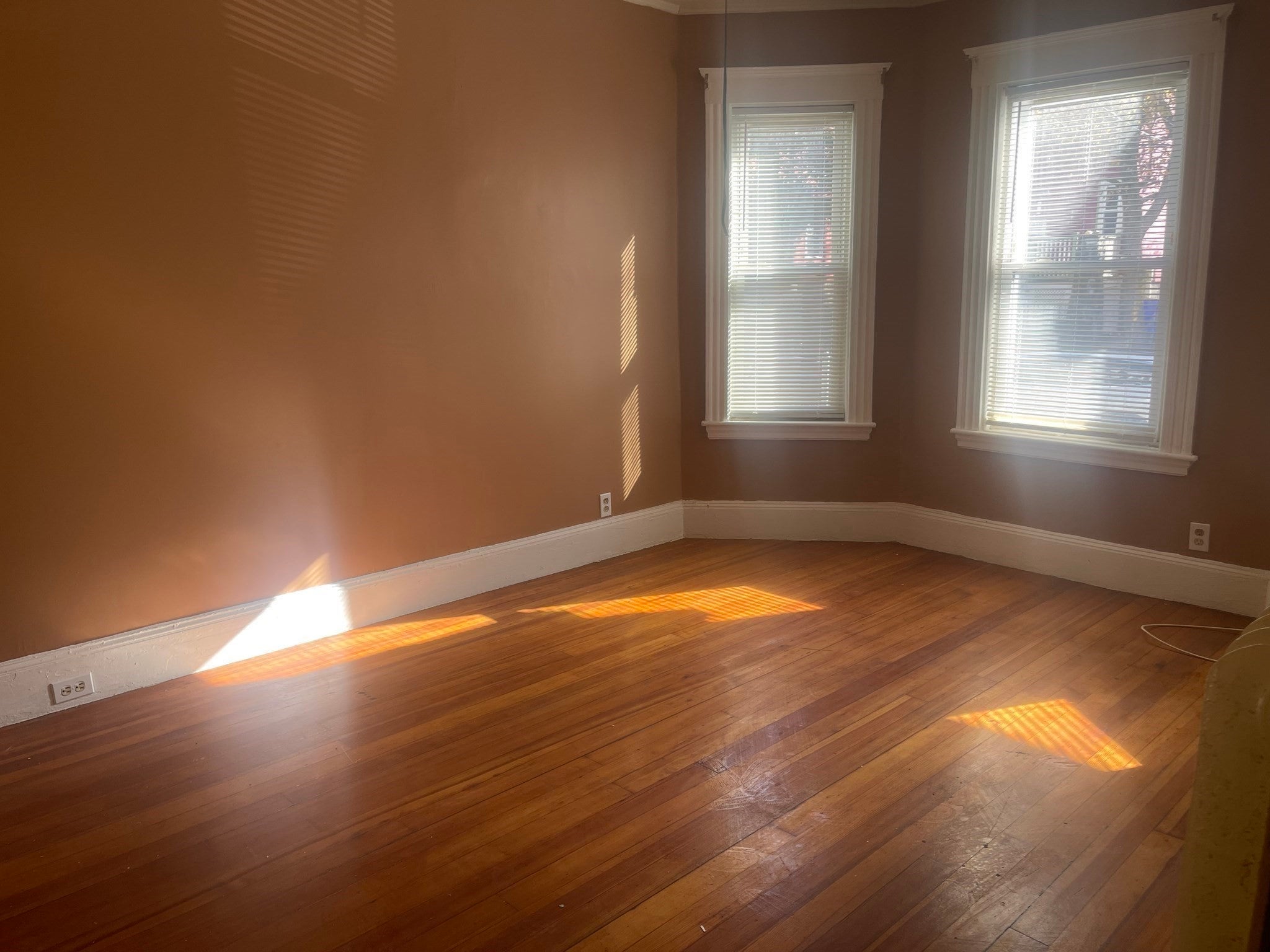6 Bailey St #1, Boston, MA Photo #3