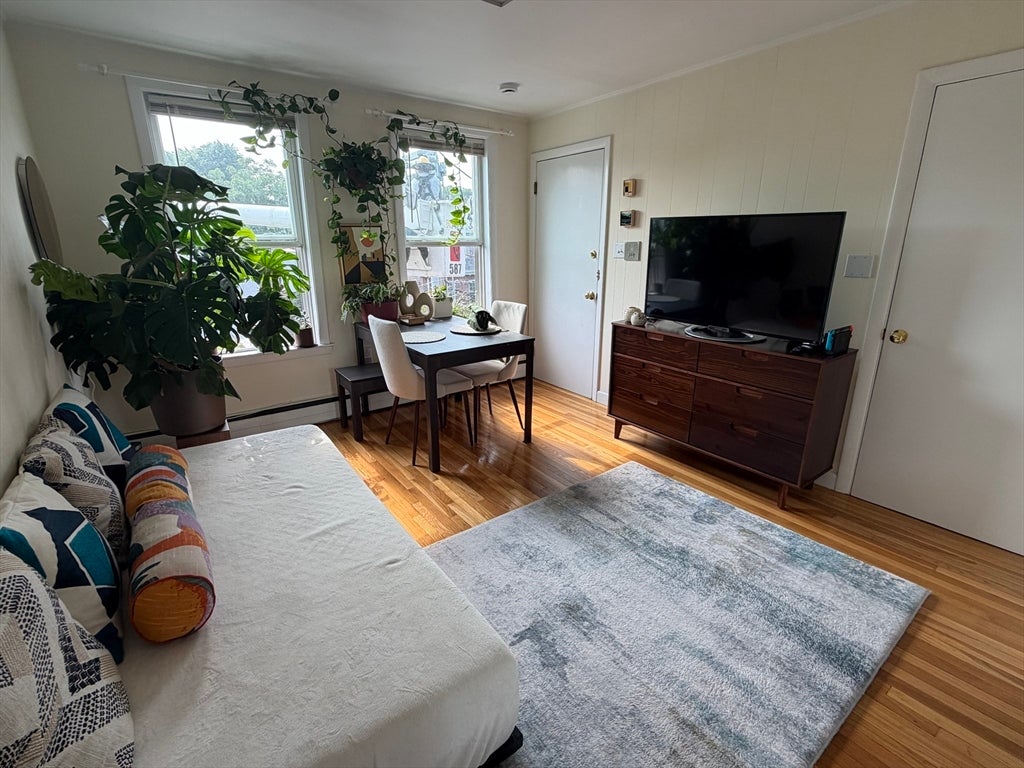 67-69 Ellery Street #6, Cambridge, MA Photo #1
