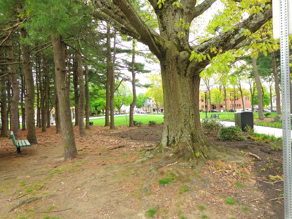 32 Whites Ave #D76, Watertown, MA Photo #13