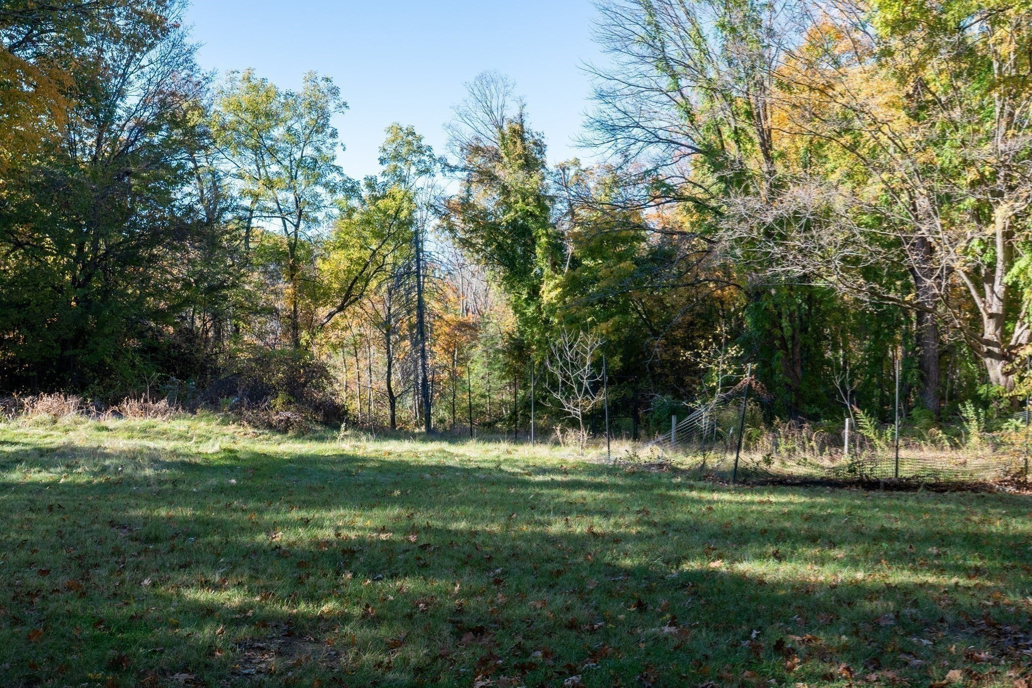 110 Edgell Rd #110, Framingham, MA, 110 Edgell Rd #110, Framingham, MA Photo #24