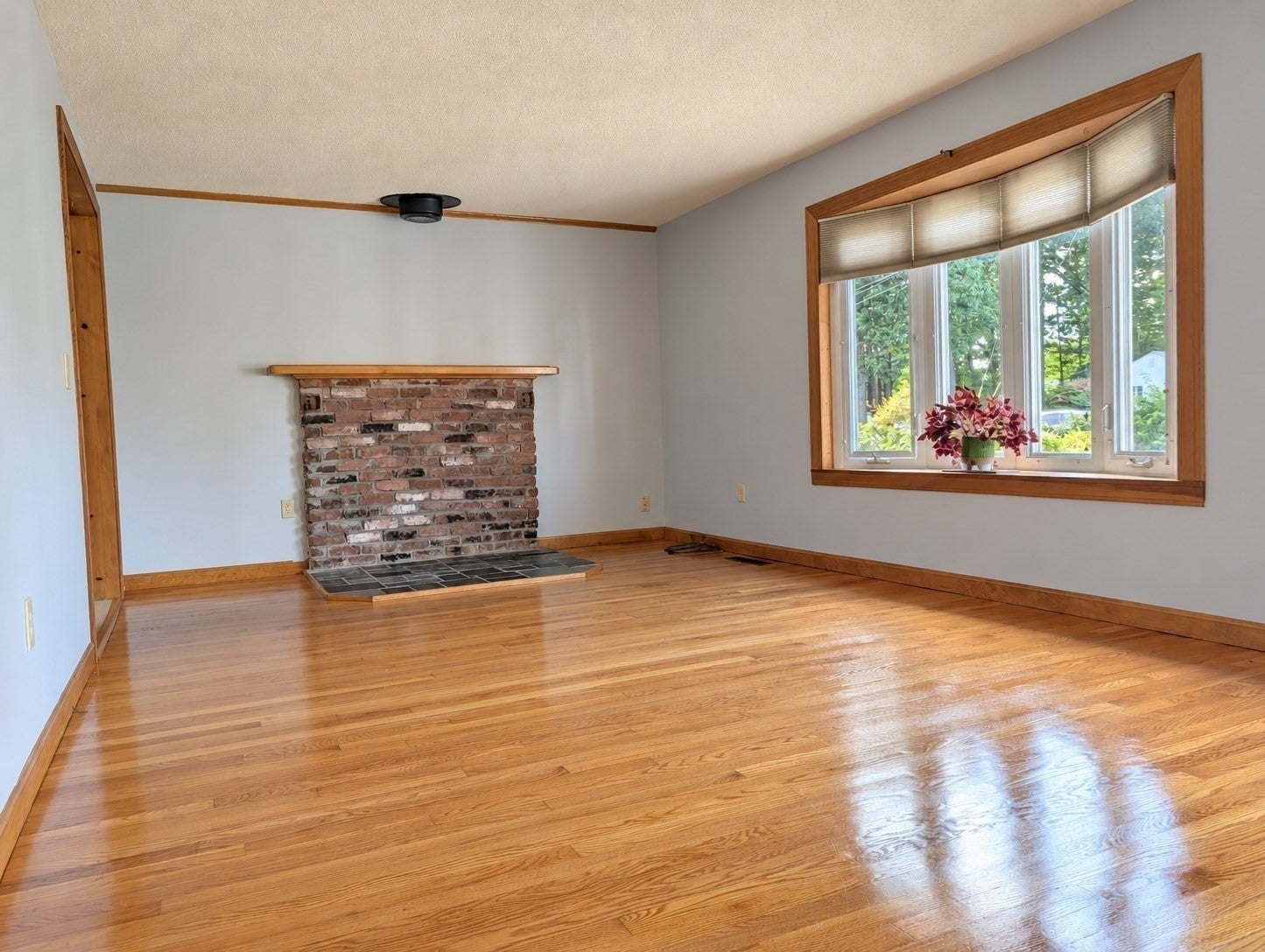 71 Birch Bluffs Drive