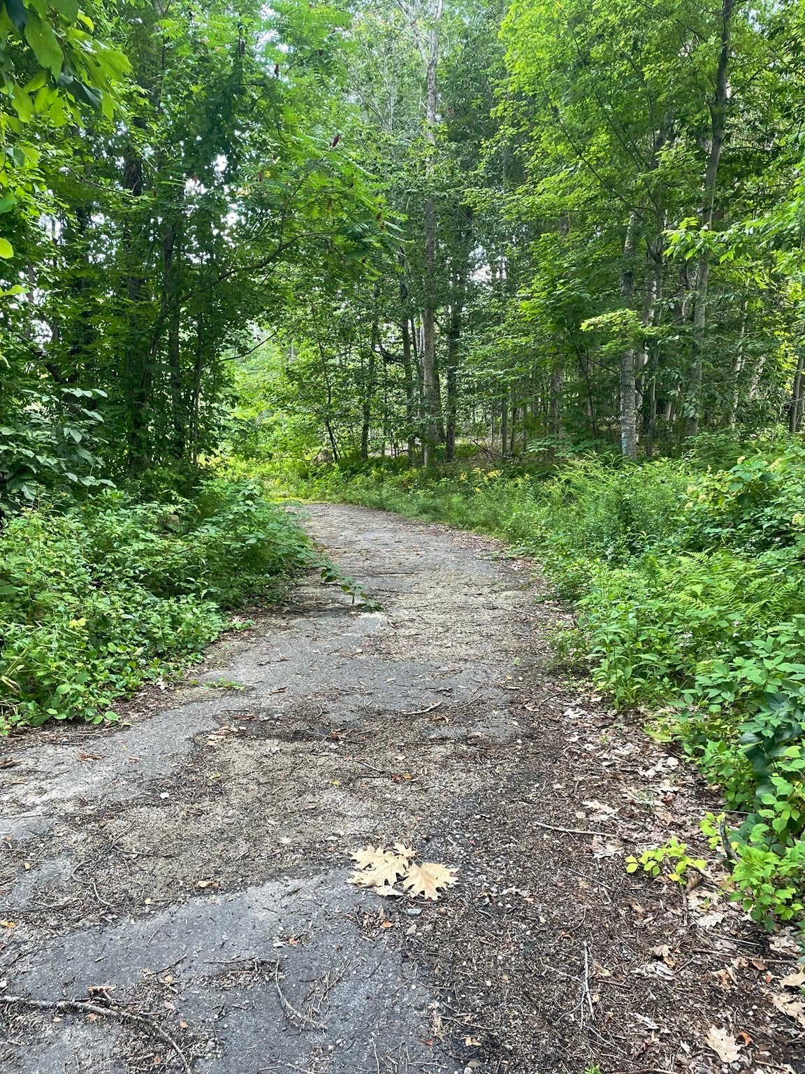 208 Erickson Rd