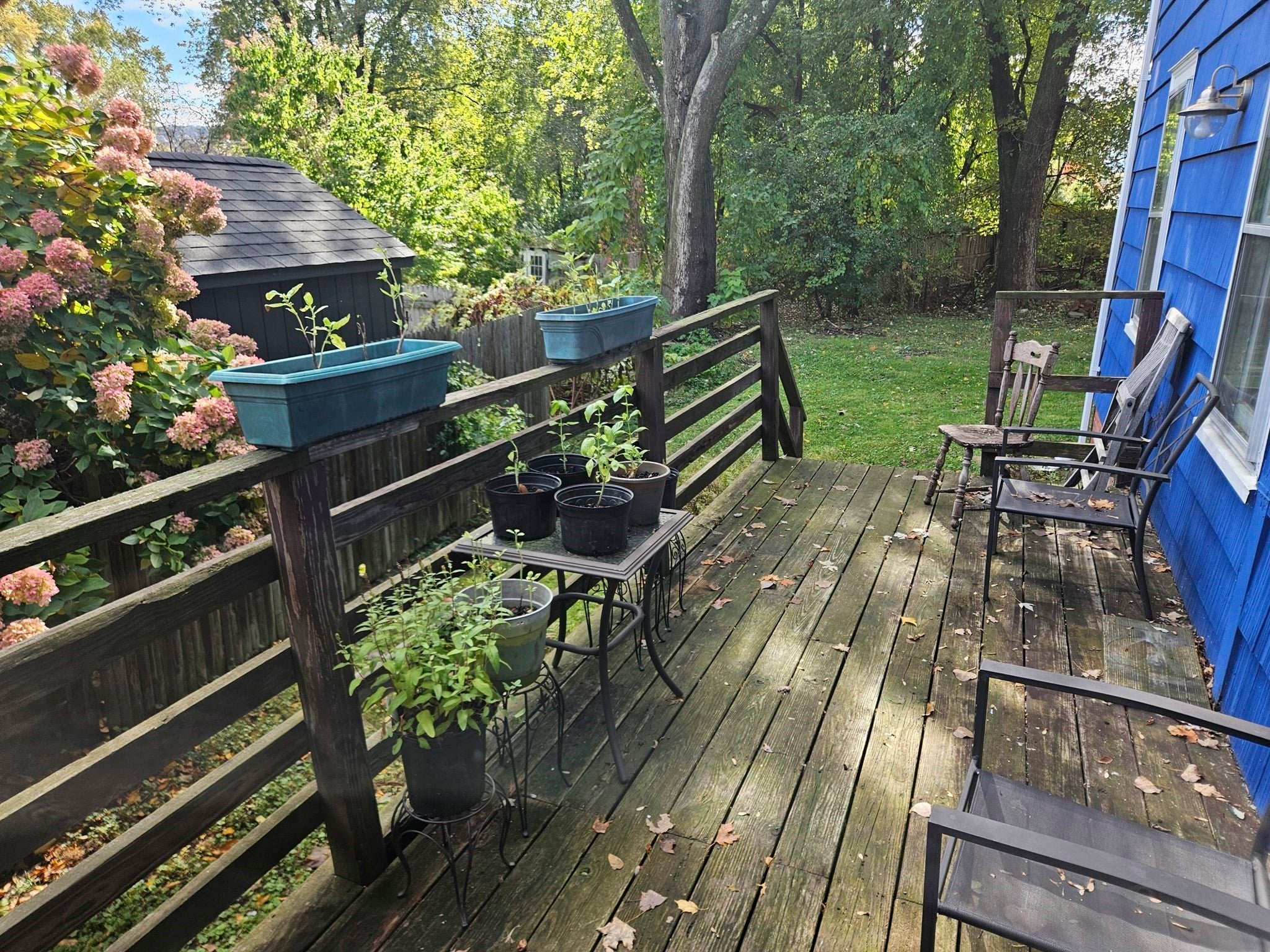 39 Holyoke Street, Northampton, MA Photo #16