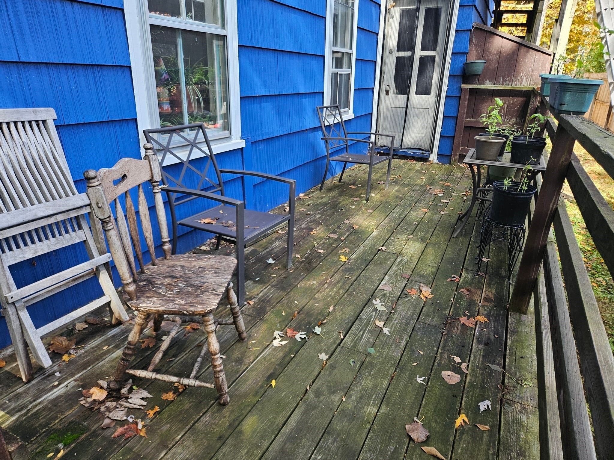 39 Holyoke Street, Northampton, MA Photo #15