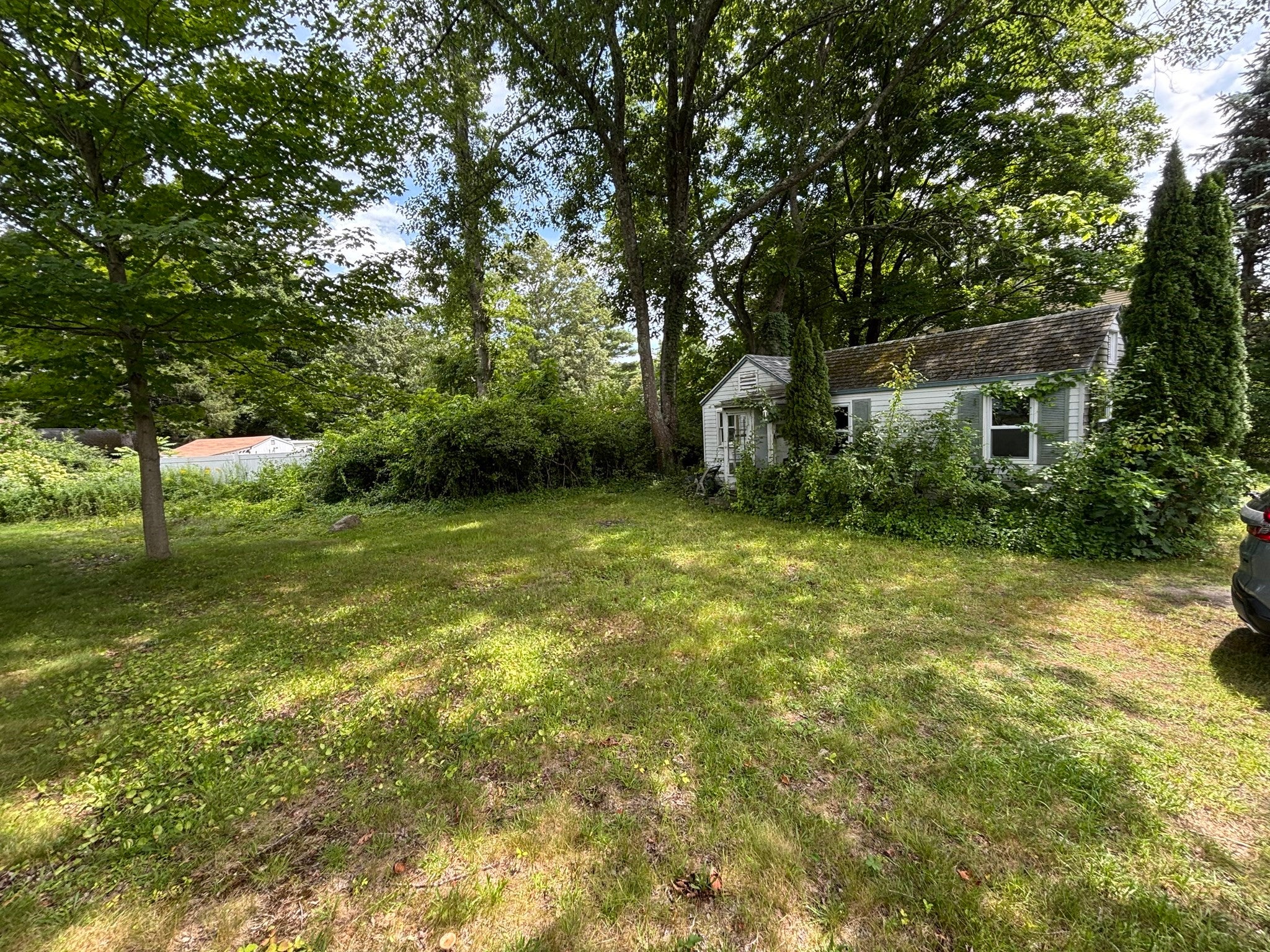 42 Olive St