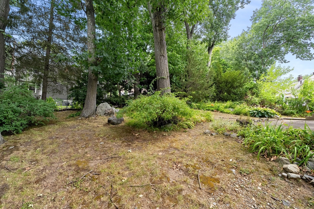 77 Wright Street, Arlington, MA, 77 Wright Street, Arlington, MA Photo #29