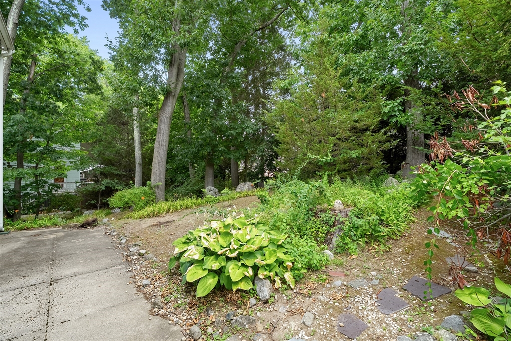77 Wright Street, Arlington, MA, 77 Wright Street, Arlington, MA Photo #30