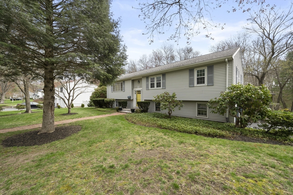 65 Stanford Drive