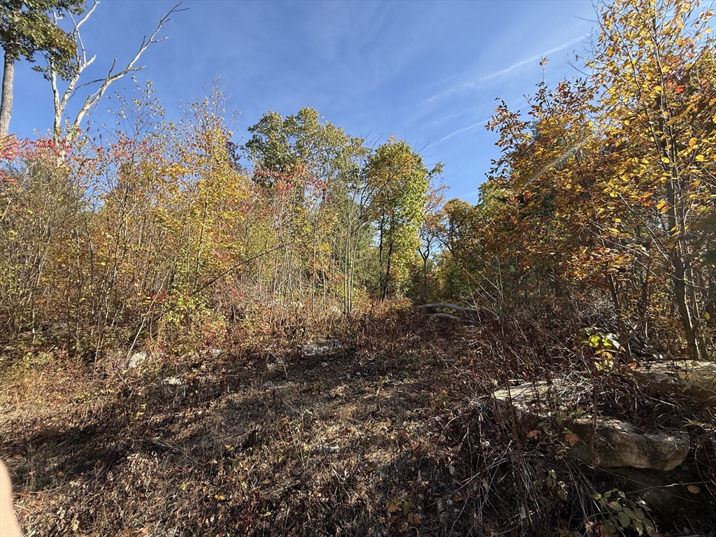 Lot 1 Amherst Rd.