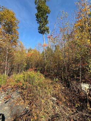 3 AMHERST RD, BELCHERTOWN, MA 01007 - Image 054ea035b5b2073bda5da5bd5ab4e222/3096375913
