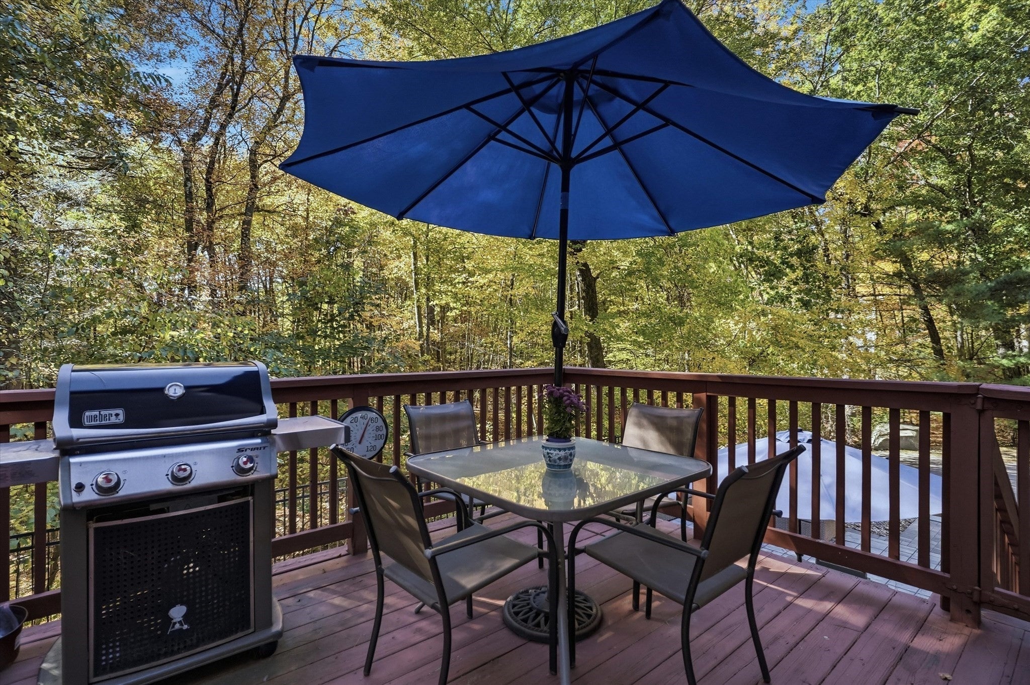 8 Montclair Ave, Andover, MA, 8 Montclair Ave, Andover, MA Photo #30
