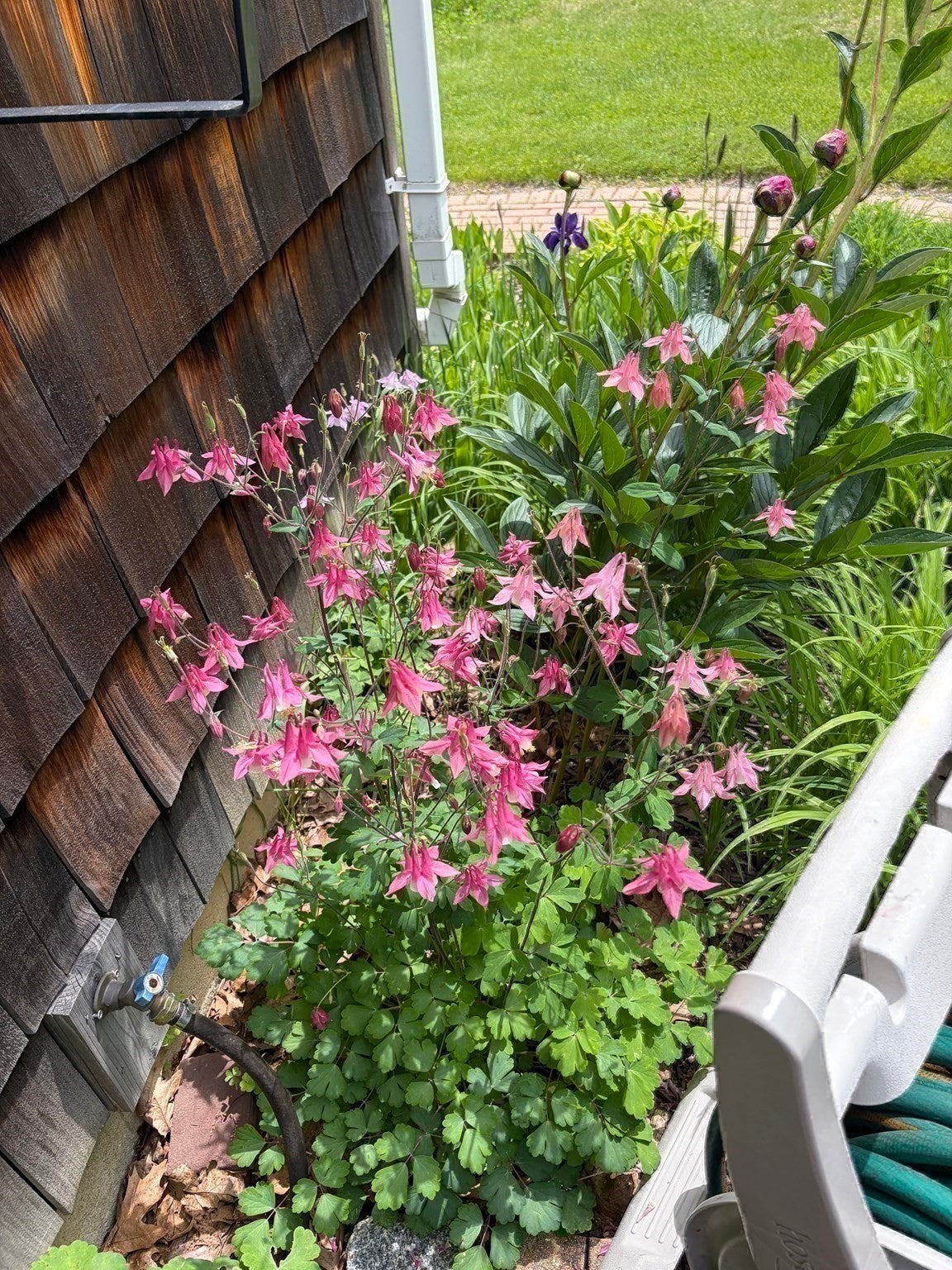 84 Chester Rd, Blandford, MA, 84 Chester Rd, Blandford, MA Photo #28