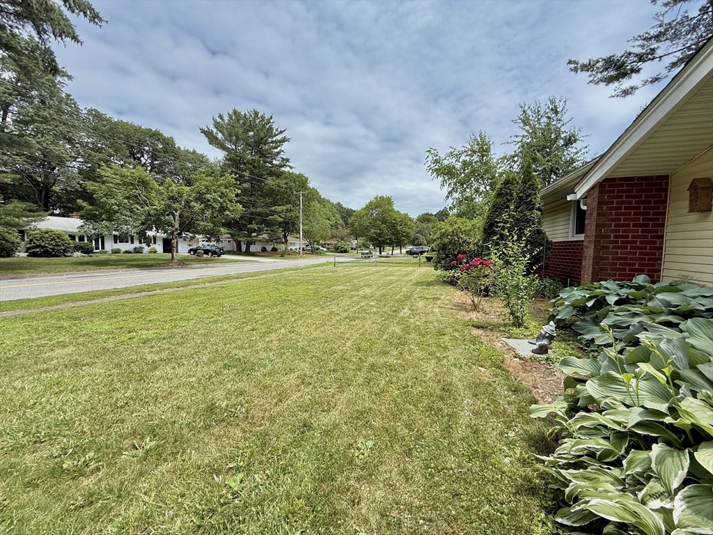 46 Barry Rd