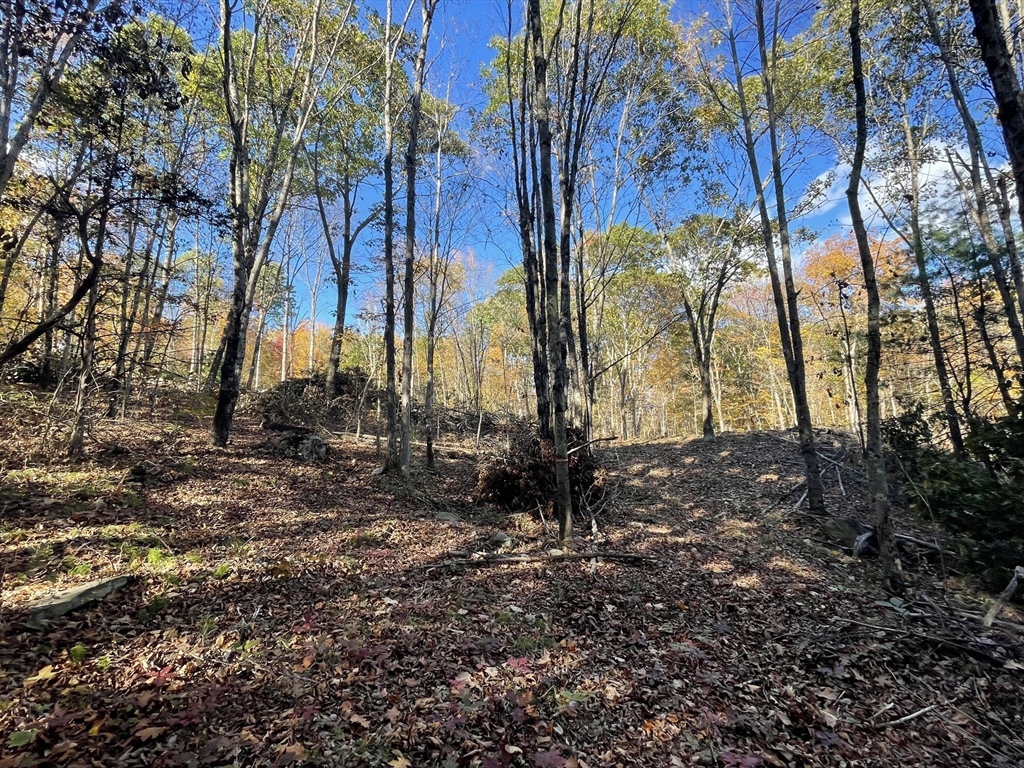 1450 Lower Rd