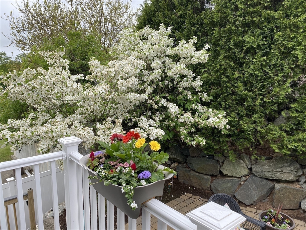 597 Main St #B6, Stoneham, MA, 597 Main St #B6, Stoneham, MA Photo #6