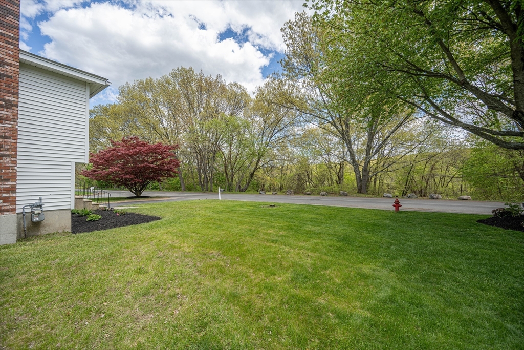59 Riverview Blvd