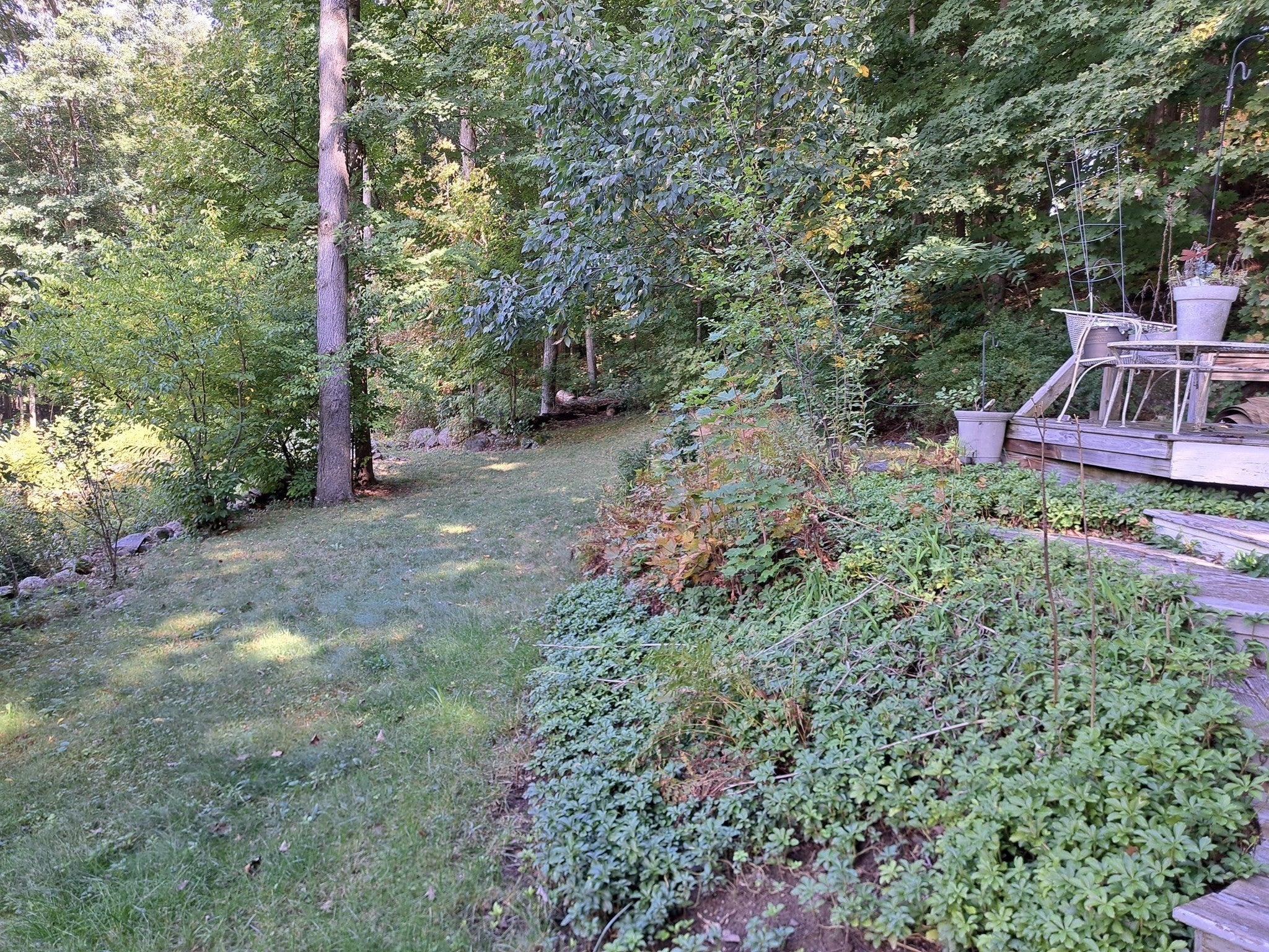 3 Birchknoll Dr