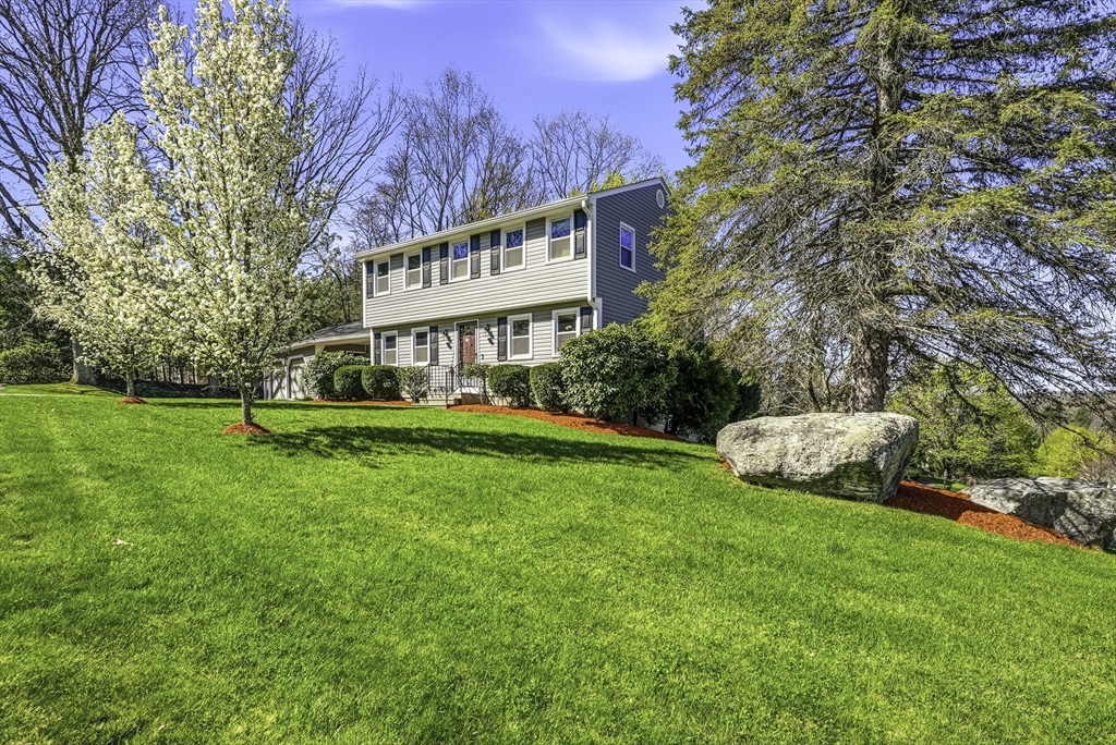 31 Lexington Rd