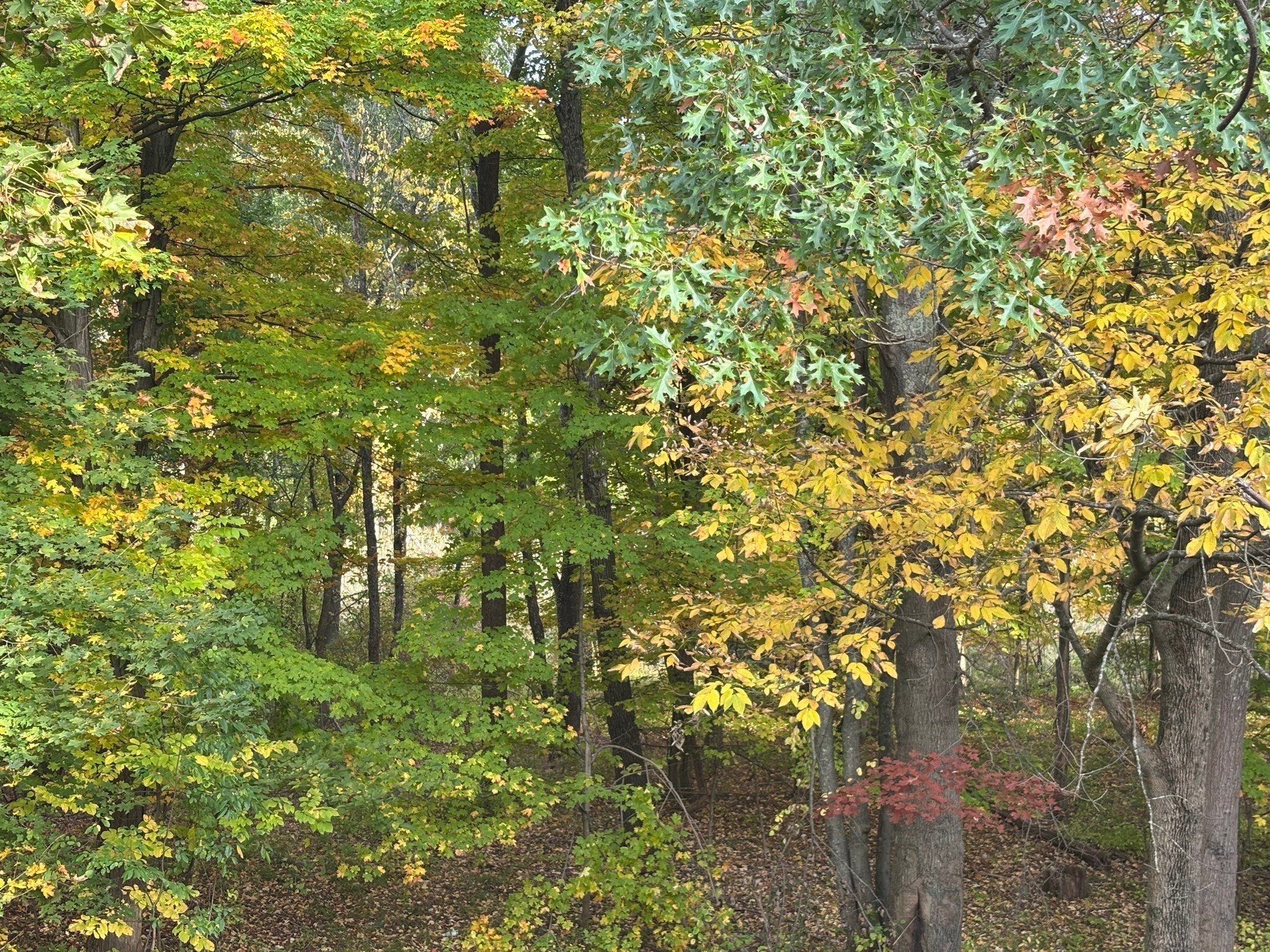 22 Millville, Salem, NH, 22 Millville, Salem, NH Photo #28