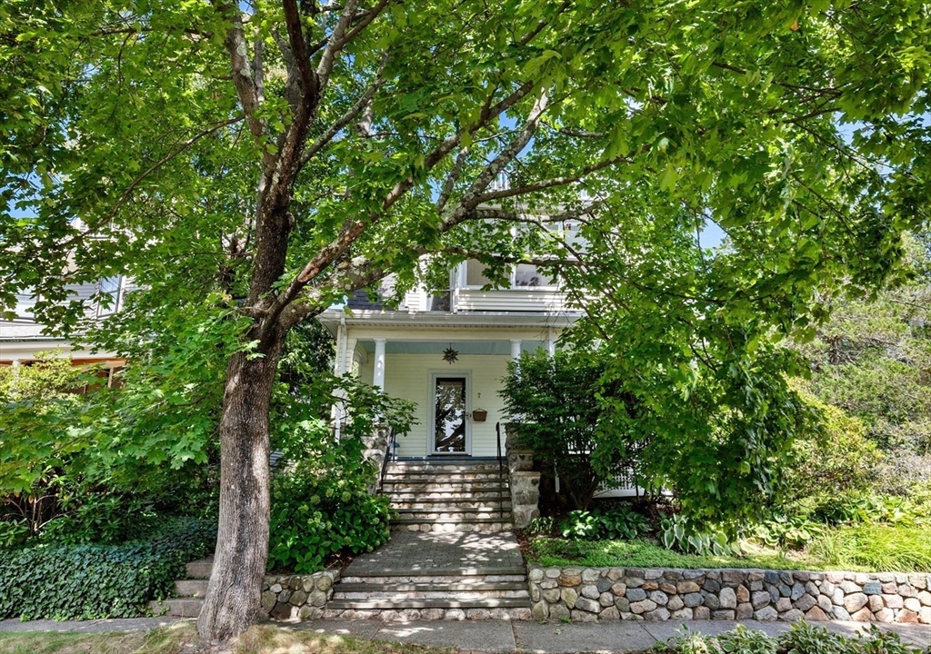 7 Woodland St